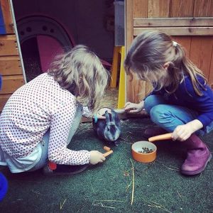 Rabbit Remedy - Meet our rabbits - Introduction Rabbit Remedy - Meet our rabbits - Introduction